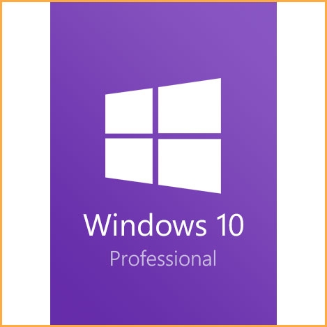    Windows 10 專業版