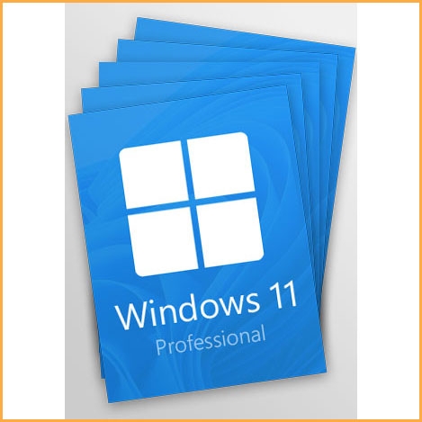 Windows 11 專業版 - 5 個密鑰