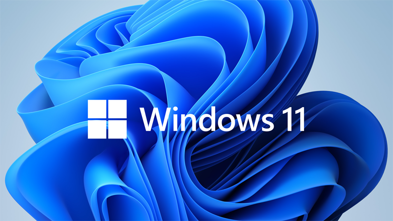 購買Windows 11 專業版